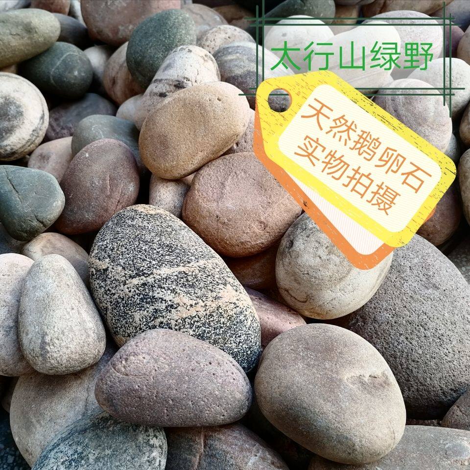 压菜石河卵原石溪流大块压菜鹅卵乌龟晒背石头庭院景观造景花园铺 百懂百货小店 淘优券