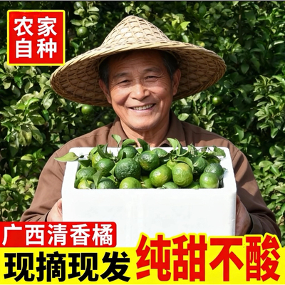 广西清香茶橘蜜桔纯甜巴西柑新鲜水果青皮橘清香橘无酸少核当季果