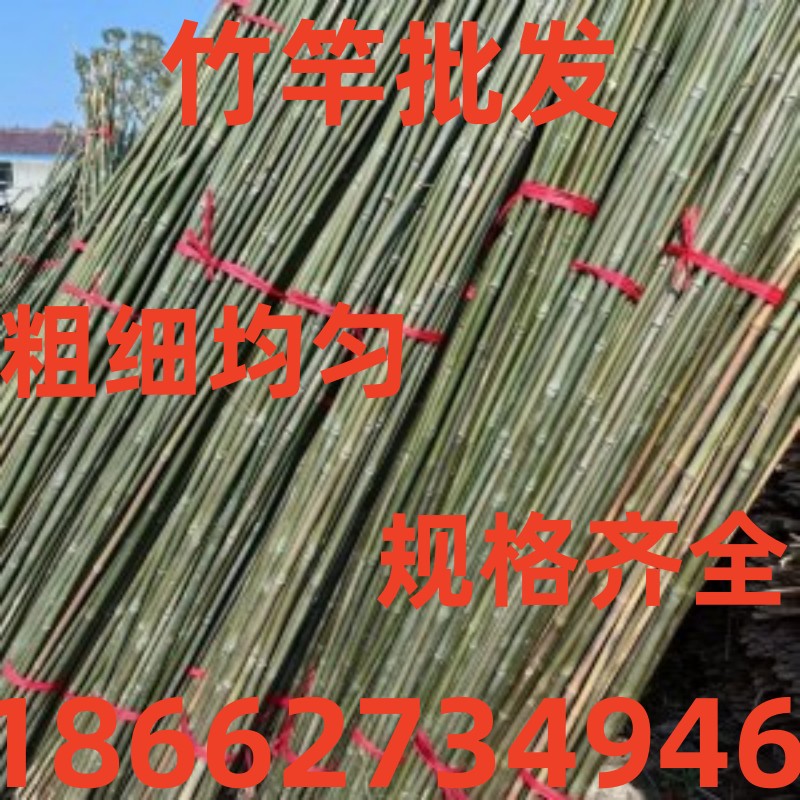小竹竿菜架竹黄瓜豆角架番茄爬藤栅栏