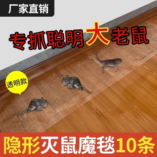 隐形灭鼠一张等于八张粘鼠板