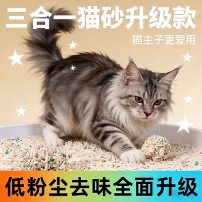 豆腐猫砂斤除臭猫沙混合