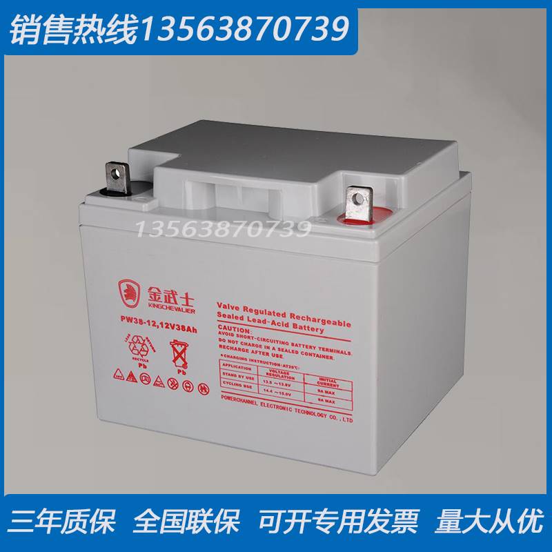 金武士蓄电池12V38AH UPS/EPS免维护应急电源 消防主机 PW38-12 五金/工具 蓄电池 原图主图