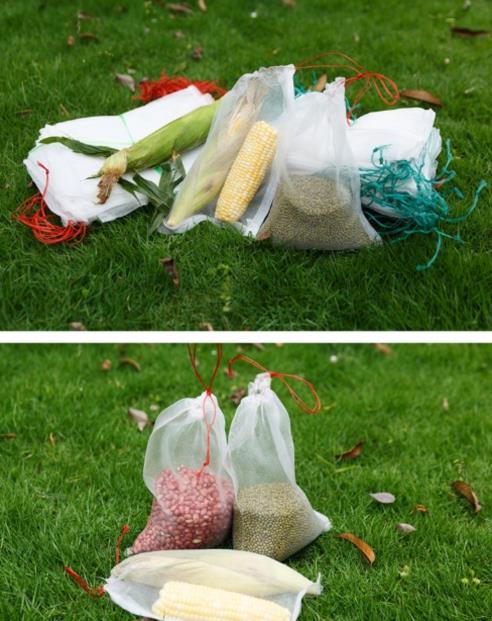 网眼尼龙透明套果树袋子防虫编织大号纱网家用水果加厚网状透气抽|ruв категории доставка цветов/цветок моделирования/растения садоводства, садовых принадлежностей, других садовых принадлежностей - от Buy2taobao.com для оказания профессиональной услуги покупки агента Taobao