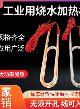 大功率工业电热管加热管热水棒潜水式水箱池380v220v热的快不锈钢
