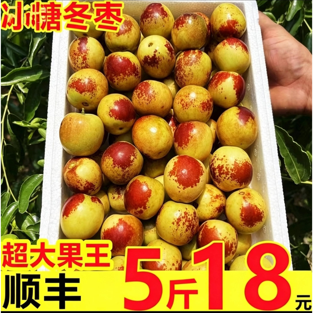 【24小时1000+已买】顺丰好冬枣