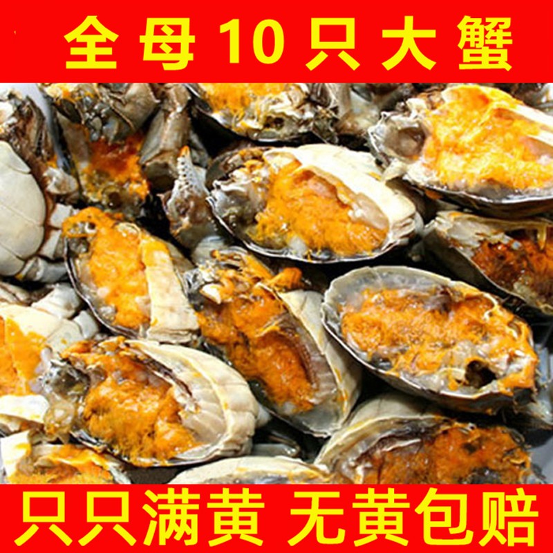 全母蟹10只大闸蟹1.5两
