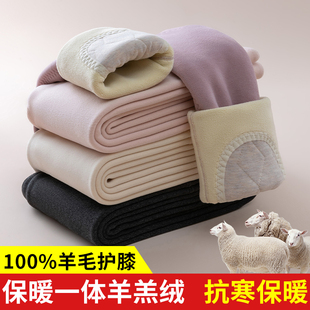秋裤 德绒护膝保暖棉裤 高腰大码 羊羔绒打底毛裤 女内穿加绒加厚冬季