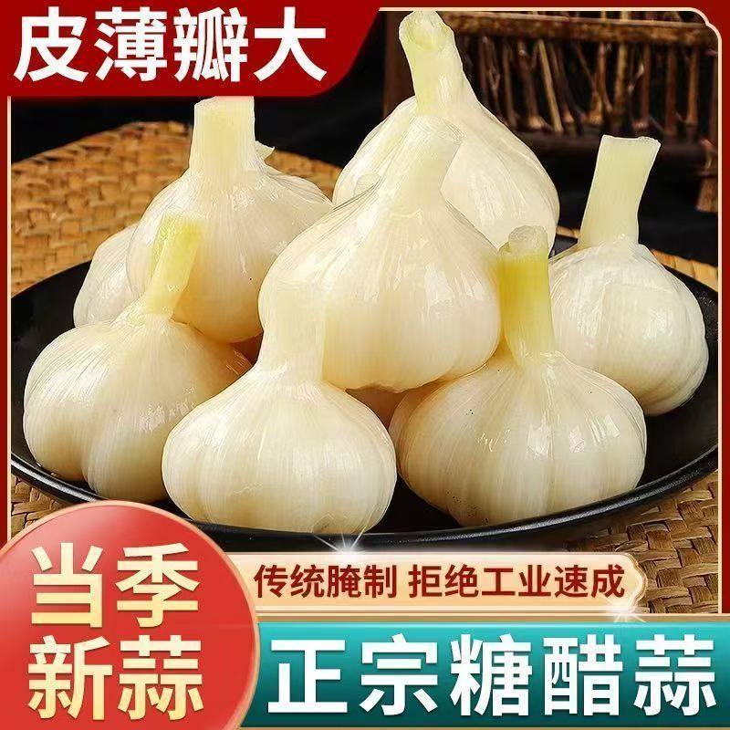 正宗山东糖蒜糖醋蒜大蒜头下饭菜酱菜泡菜新鲜铜锅涮配菜特产大蒜