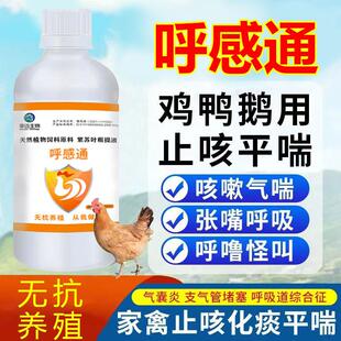 呼感通鸡鸭鹅病毒性咳嗽风热感冒呼吸道疾病饲料添加剂预防