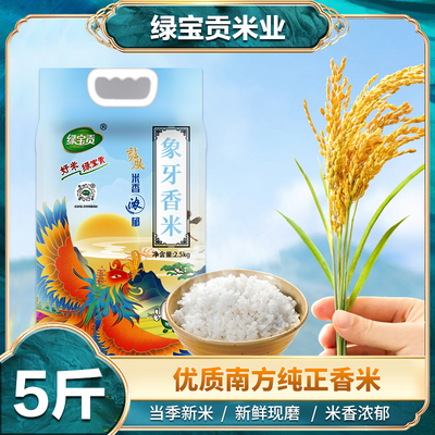 绿宝贡象牙香米1斤装试吃