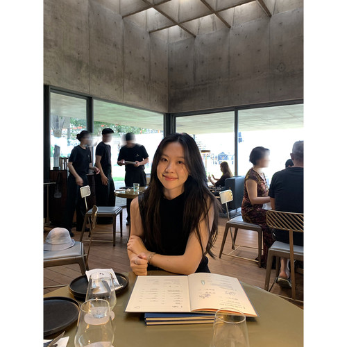 daydayicy 背心女夏季半高领无袖气质轻熟通勤修身显比例显瘦上衣