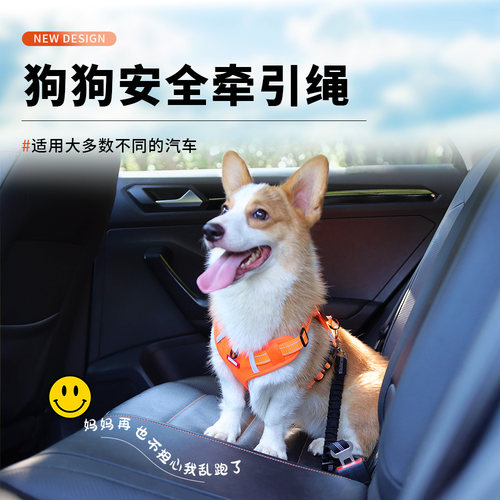 车用泰迪比熊宠物汽车安全带狗狗车载牵引绳安全扣狗链固定牵引带