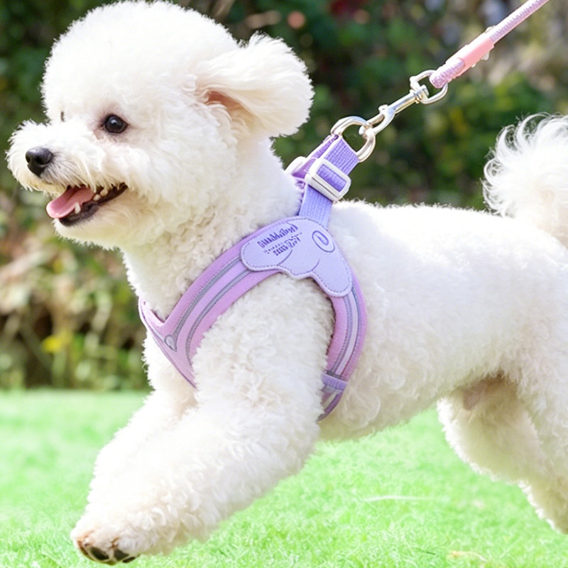 网红小狗狗牵引绳背心式宠物胸背带小型犬比熊泰迪雪纳瑞遛狗绳子图片