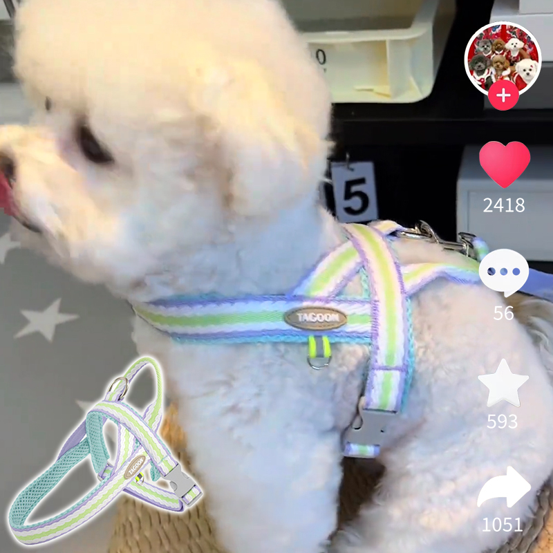 网红狗狗牵引绳中小型犬比熊背心式遛狗绳泰迪柴犬宠物胸背带透气