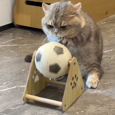 猫玩的停不下来的猫抓板