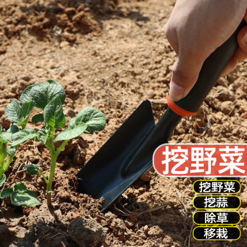 挖野菜挖蒜小铲子嘉宝冠