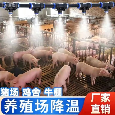 养殖场自动定时降温加湿消毒系统图片