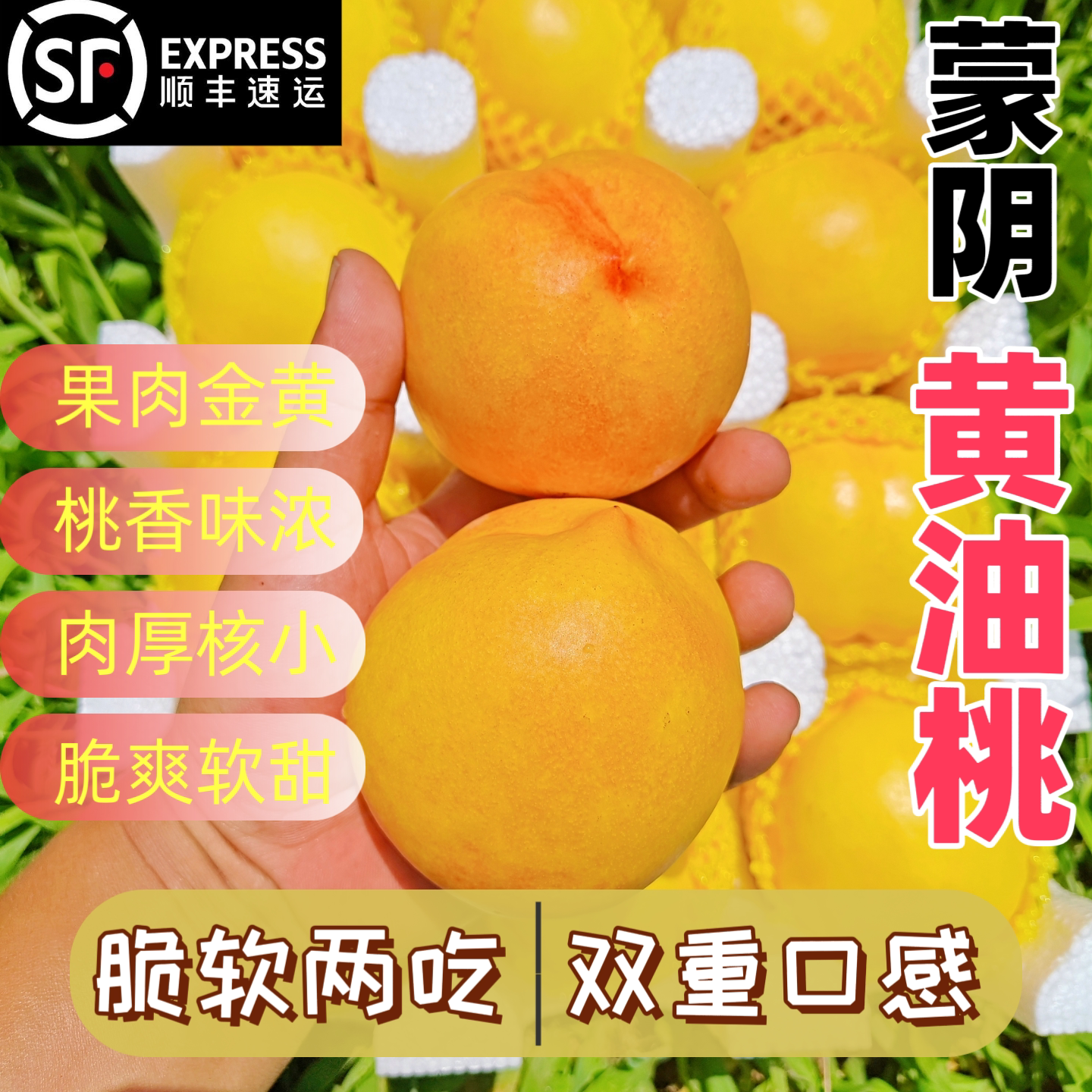 山东蒙阴黄金油桃新鲜水果黄油桃当季油桃现摘现发桃蒙阴桃顺丰