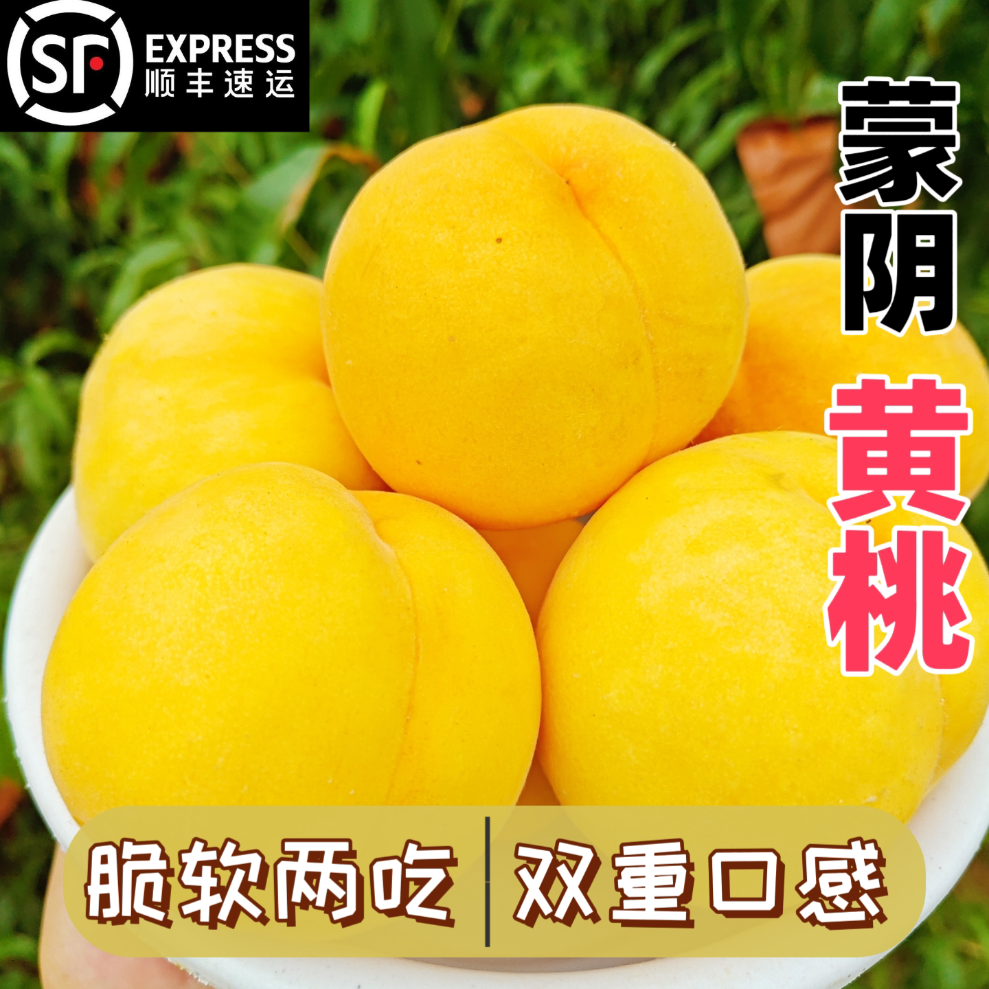 蒙阴黄桃当季新鲜顺丰包邮