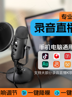 官方正品高品质降噪录音话筒混响