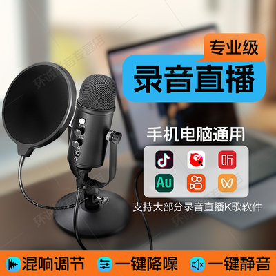 官方正品高品质降噪录音话筒混响