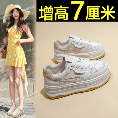 配裙子百搭厚底板鞋内增高小白鞋