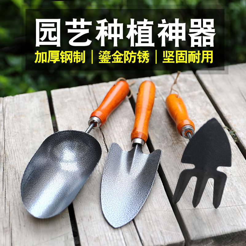 【不生锈】创意多肉套装园艺种花