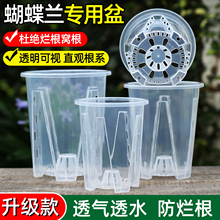 透明加仑青山控根盆家用大号水苔蝴蝶兰专用小花盆塑料兰花透气杯