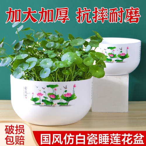 无孔加厚塑料花盆铜钱草水培器皿荷花盆缸碗莲睡莲水培植物专用盆