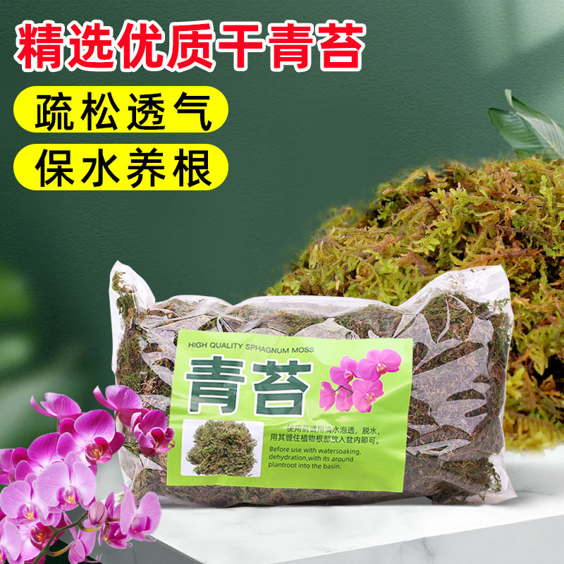 纯天然青苔干苔藓水苔兰花爬宠乌龟垫材蝴蝶兰石斛种植专用土植料