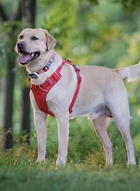 拉布拉多幼犬小狗神七白色聪明寻回犬狗真狗温顺活体狗崽黑色警犬