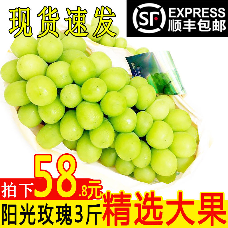 顺丰 阳光玫瑰新鲜无籽新鲜当季水果3斤青提晴王葡萄香印孕妇水果在类目 水产肉类/新鲜蔬果/熟食, 新鲜水果, 葡萄/提子中 - 来自Buy2taobao.com提供专业的淘宝代购服务