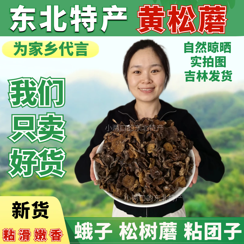黄松蘑东北特产野生松蘑菇干货500g松菇粘蛾子松蛾粘团子野生蘑菇,粮油调味/速食/干货/烘焙,香菇类,淘宝优惠券,粉丝福利购,淘宝优惠卷