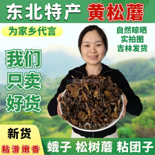 黄松蘑东北特产野生松蘑菇干货500g松菇粘蛾子松蛾粘团子野生蘑菇