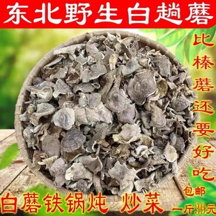 新货白趟蘑青趟蘑趟子蘑白蘑菇炒炖煲汤