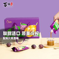 新疆NFC無蔗糖純果西梅原漿液