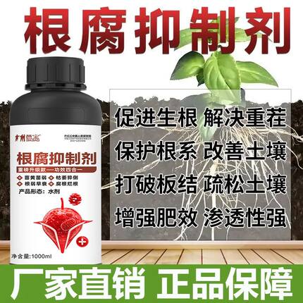 【厂家直发】根腐烂根软腐农作物专用根腐抑制剂苗期僵苗青枯立枯