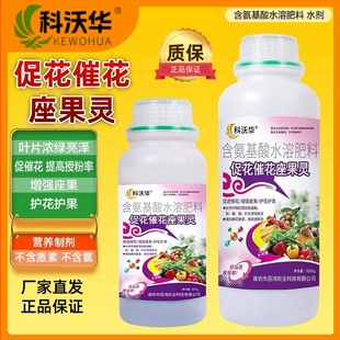 科沃华果树荔枝促花催花座果灵保花保果授粉坐果灵防落素瓜果蔬菜