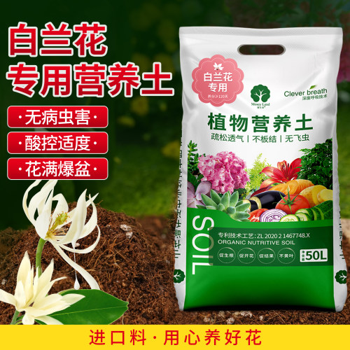白兰花专用营养土肥料