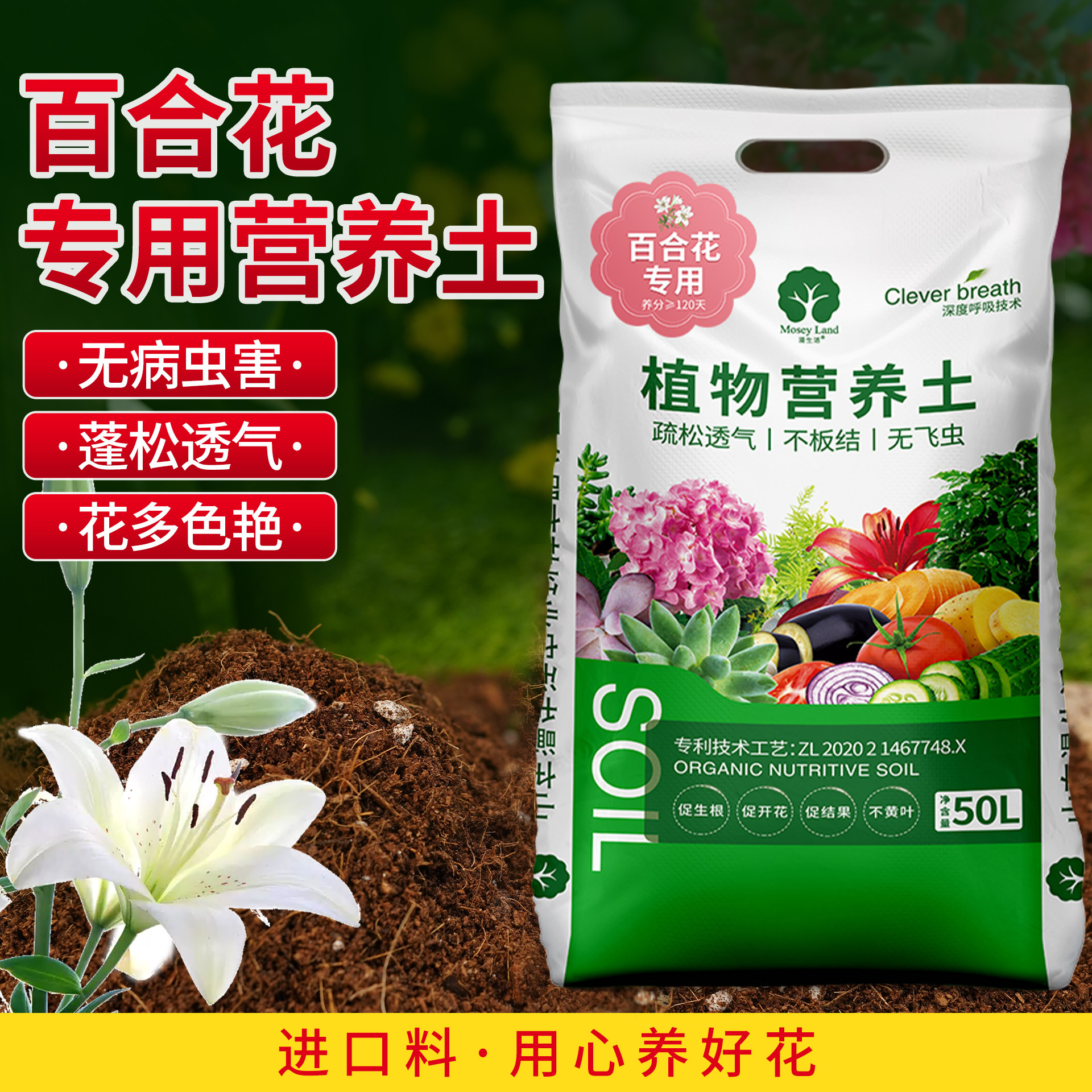 百合花专用土球根植物种植土图片