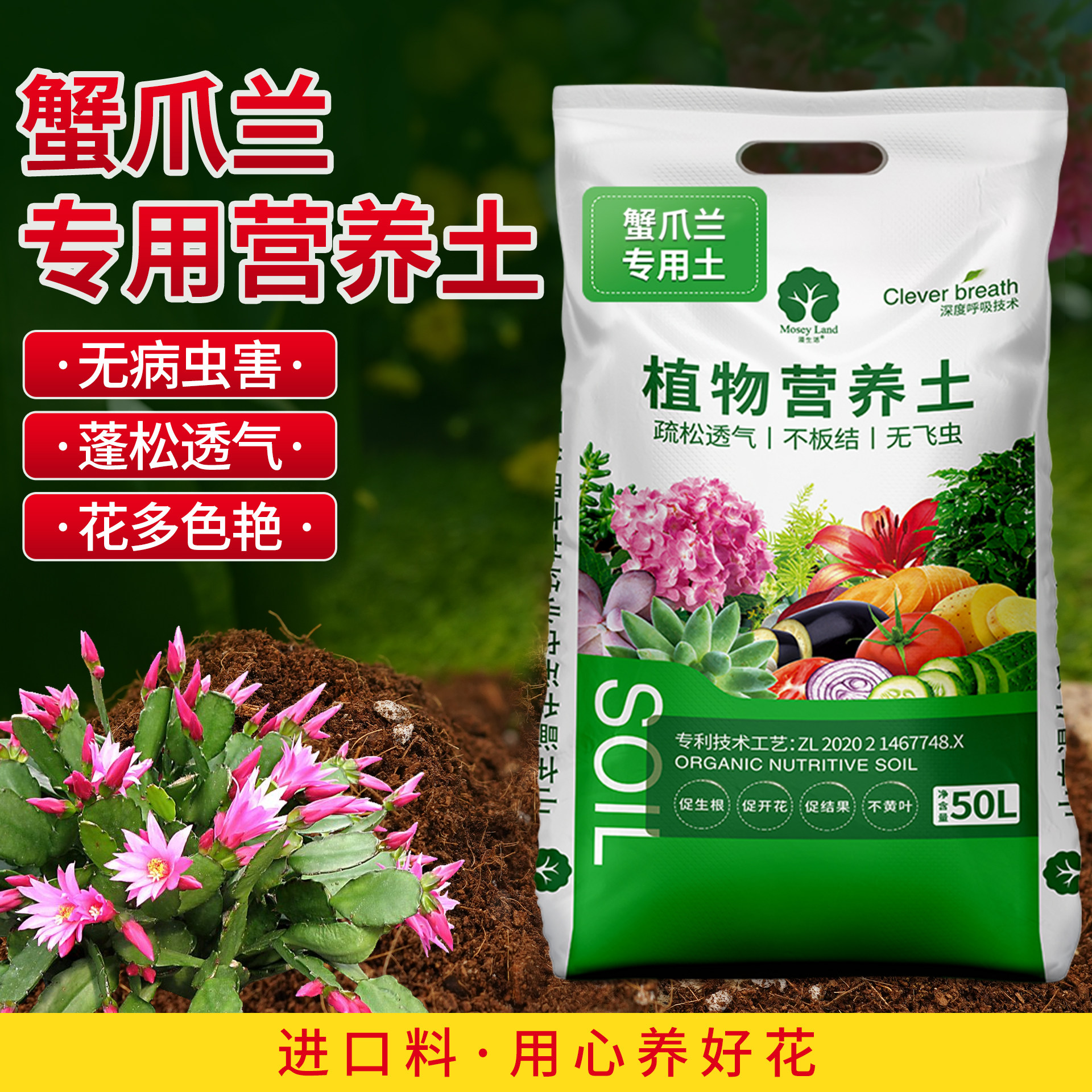蟹爪兰专用土营养肥料图片
