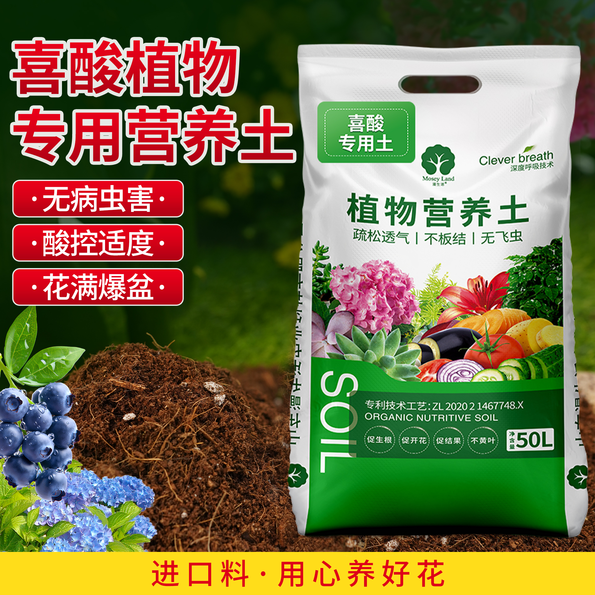 喜酸专用营养土漫生活