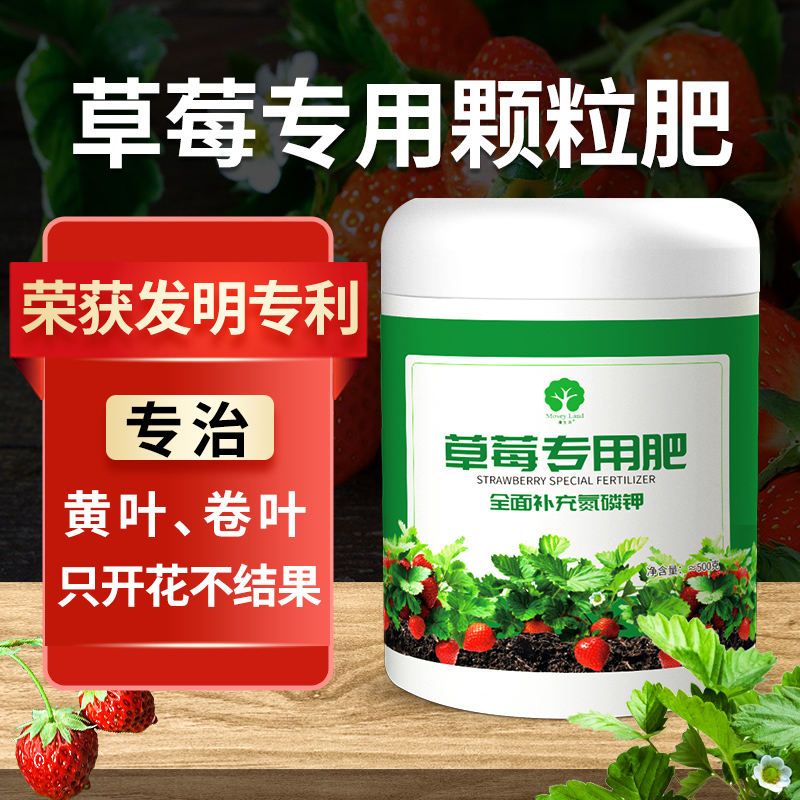 草莓专用肥草莓肥料专用肥草莓营养液草莓颗粒肥漫生活园艺旗舰店