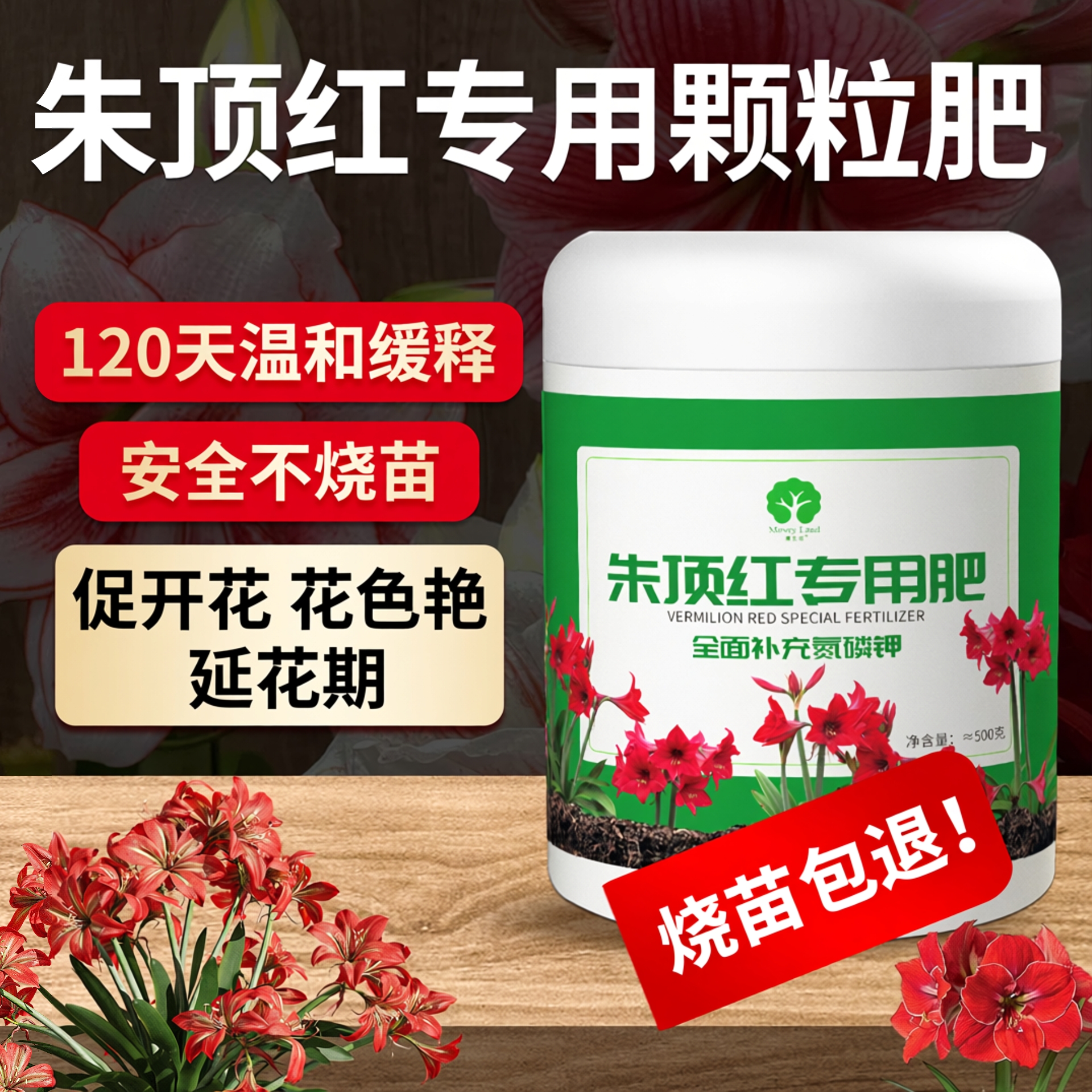 朱顶红颗粒肥盆栽养护肥漫生活