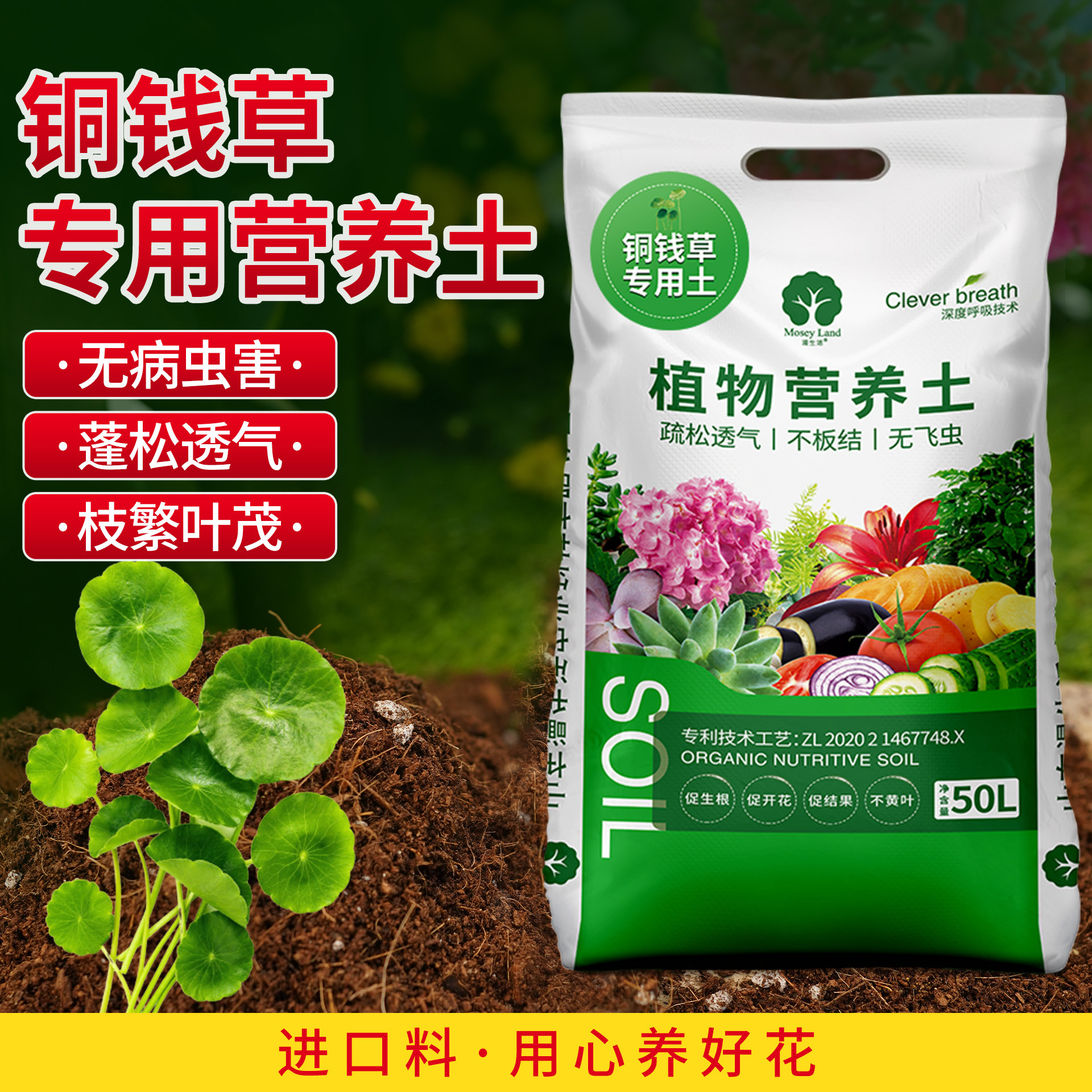 铜钱草专用土漫生活园艺旗舰店