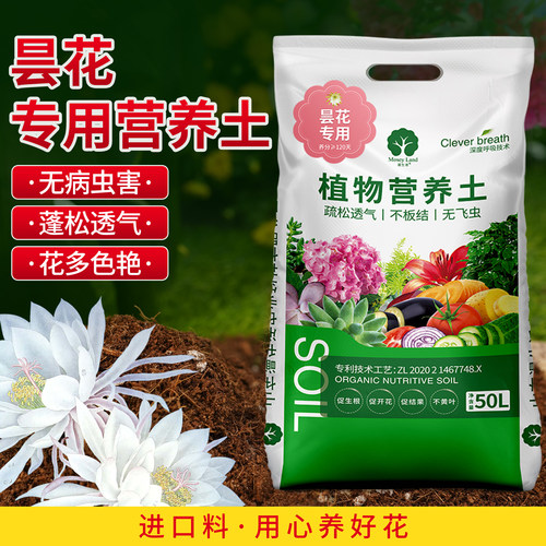昙花专用肥料营养液漫生活