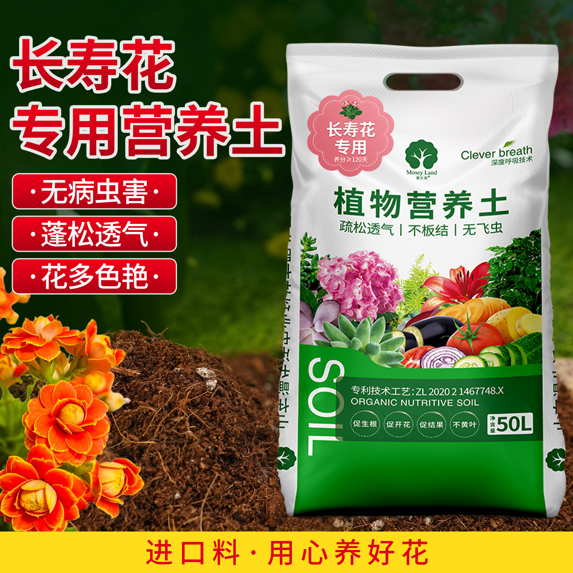 长寿花专用土盆栽扦插专用营养土