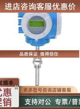 议价E+H 热式流量计t-mass I 300 6I3BL2-NDDBAEAFABHANA2AAGA2