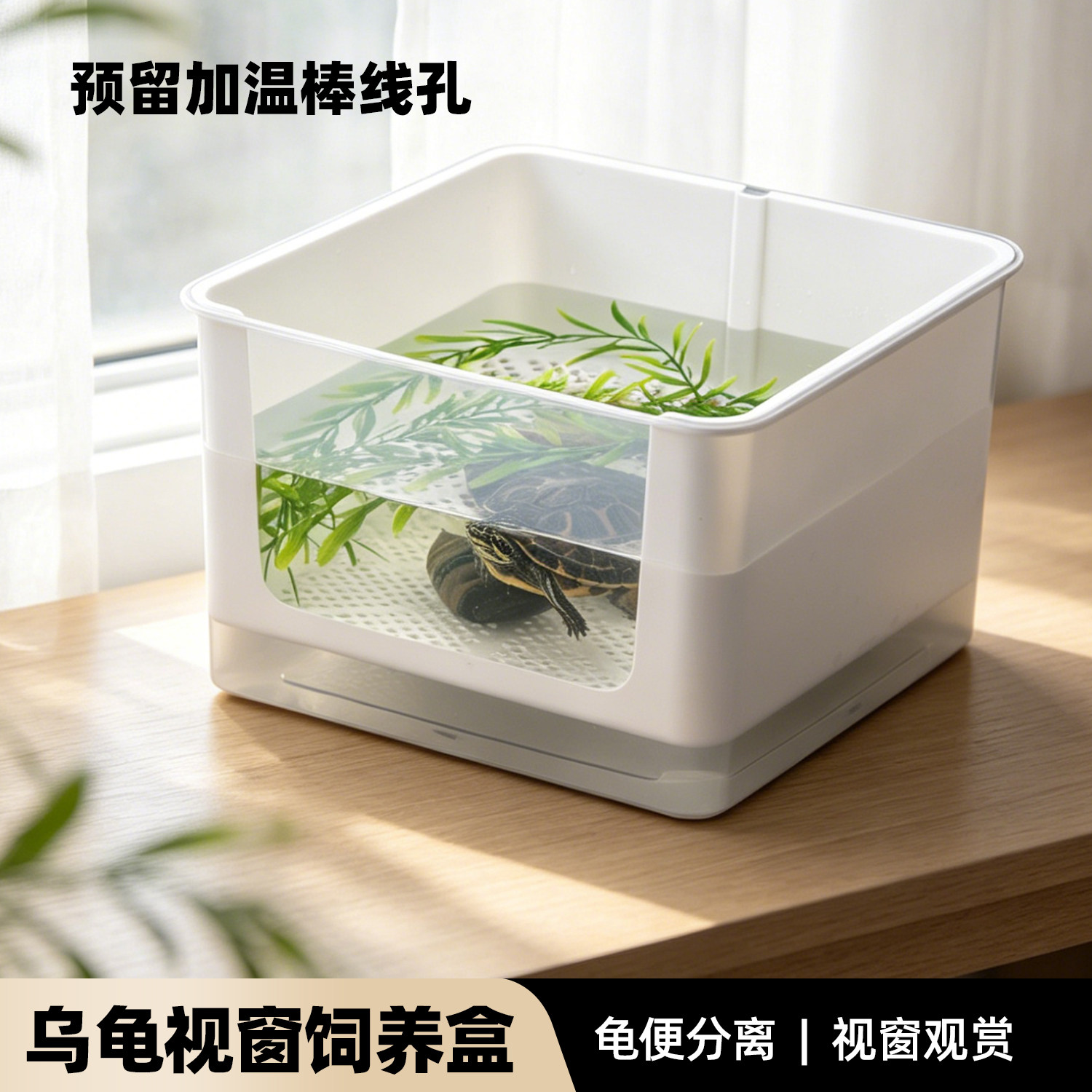 乌龟开窗沉淀板发色盒活体蛋龟西非果核红面窄桥龟苗隔离饲养盒