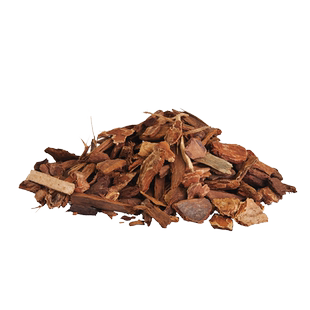 酷爬黄缘安缘生态环境植物造景垫材安布半水龟养殖箱专用缸环境